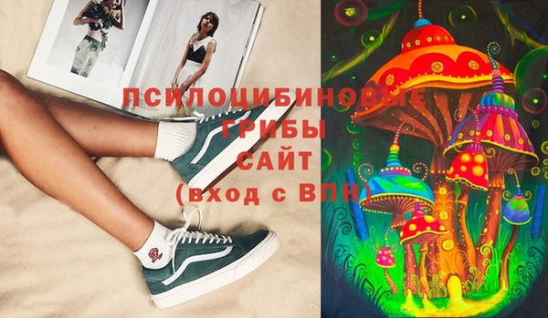 хмурый Арсеньев