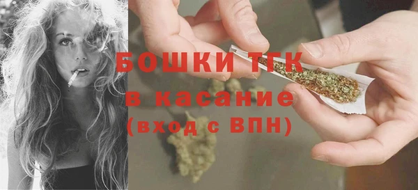 хмурый Арсеньев