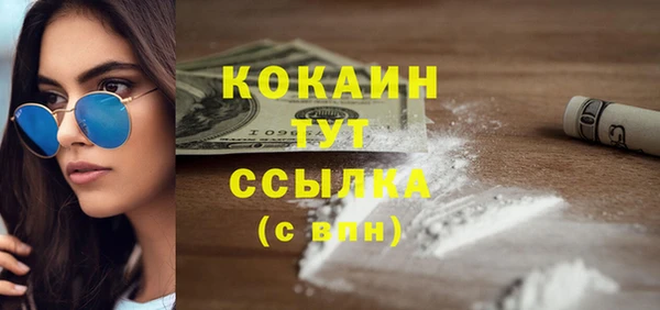 хмурый Арсеньев