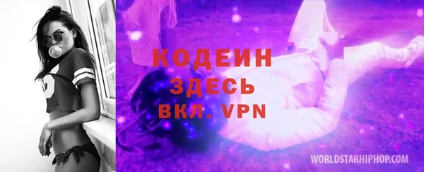 хмурый Арсеньев