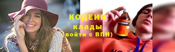 хмурый Арсеньев