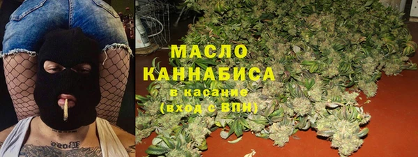 хмурый Арсеньев