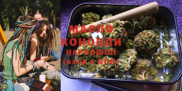 хмурый Арсеньев